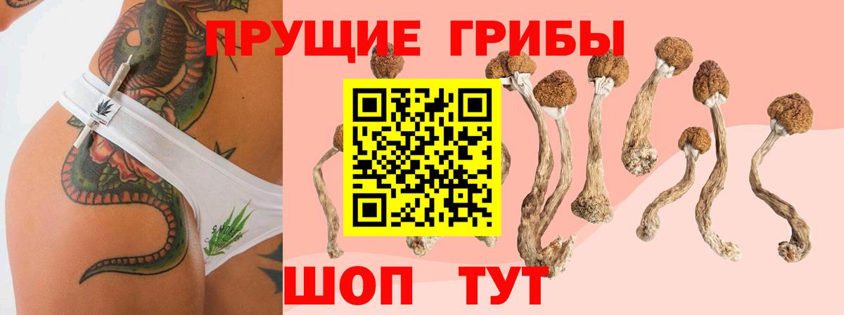 Искитим  Галлюциногенные грибы мицелий  Вход с VPN 